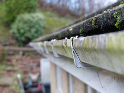 Gutter Gutter