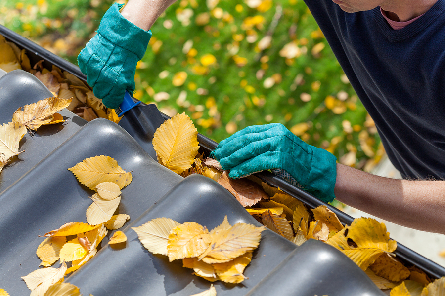 Garden drainage systems
