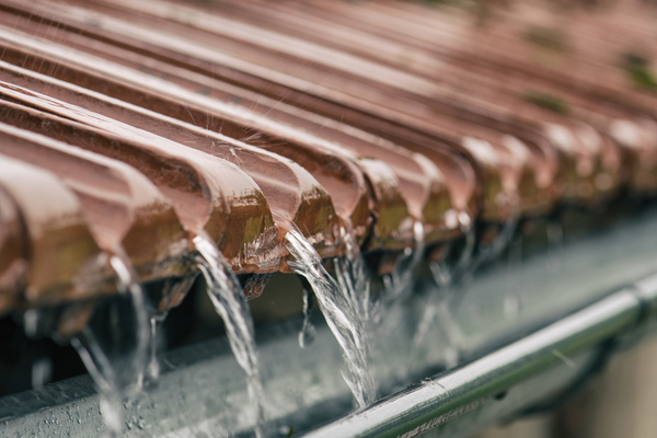 gutters and spring showers