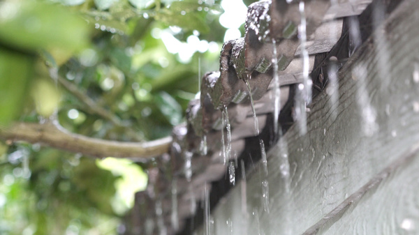 summer rainstorms